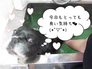 スパ中ミックス