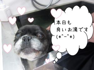 スパ中ミックス