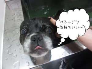 スパ中ミックス