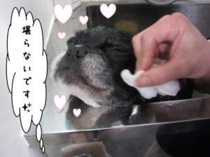 スパ中ミックス