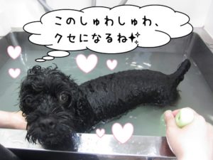 スパ中ミックス