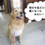 笑顔ゴールデン