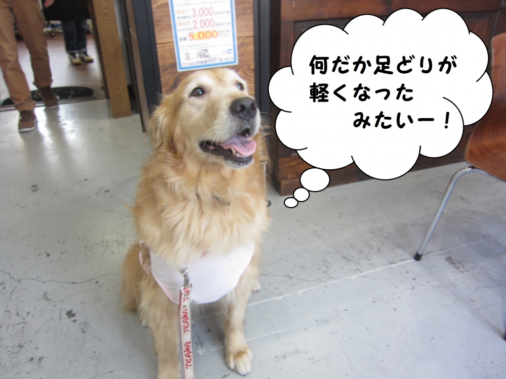 笑顔ゴールデン