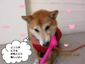 施術後ミックス