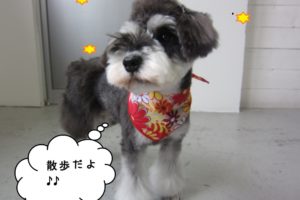 えっへんMシュナ