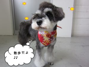 えっへんMシュナ