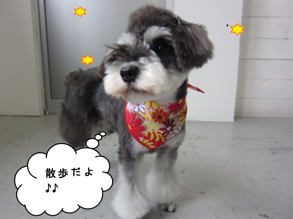 えっへんMシュナ