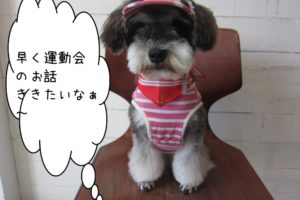 おすましMシュナ