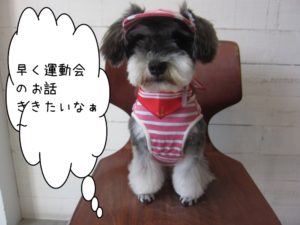 おすましMシュナ