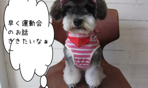 おすましMシュナ