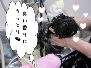 シャンプー中ミックス