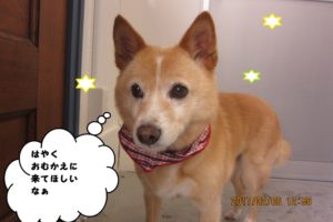 おすましミックス