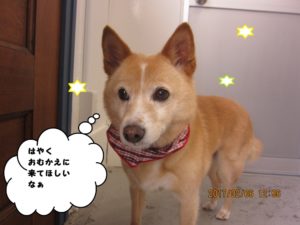 おすましミックス