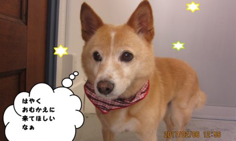 おすましミックス