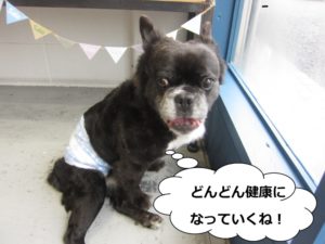 施術後ミックス