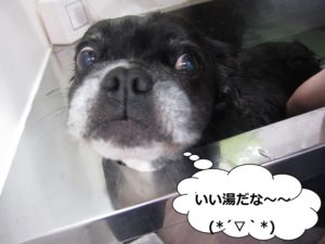 スパ中ミックス