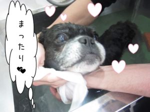 スパ中ミックス