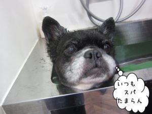 スパ中ミックス