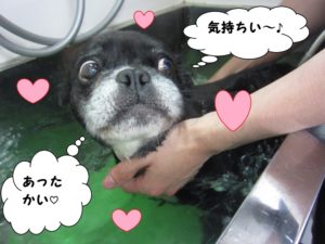 スパ中ミックス