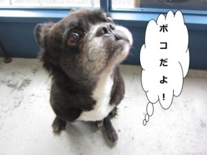 施術後ミックス