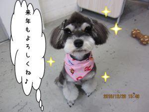 おすわりMシュナ