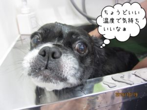 スパ中ミックス