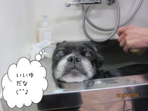 スパ中ミックス