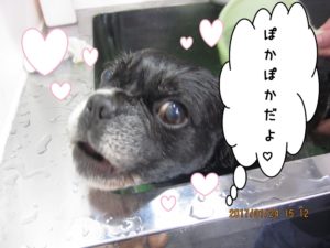 スパ中ミックス