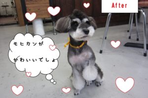 モヒカン足クリMシュナ