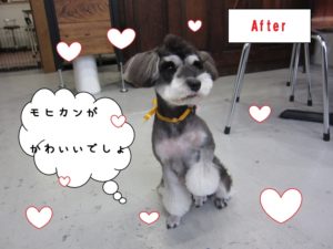 モヒカン足クリMシュナ