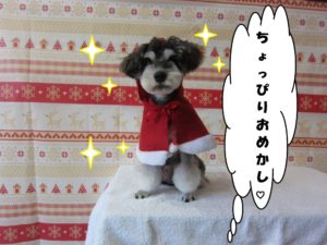 サンタさんMシュナ