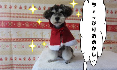 サンタさんMシュナ