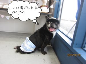 施術後ミックス