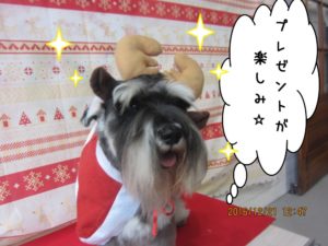 サンタさんMシュナ