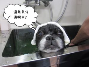 スパ中ミックス