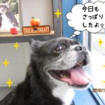 窓際笑顔ミックス