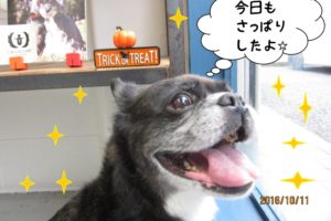 窓際笑顔ミックス