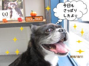 窓際笑顔ミックス