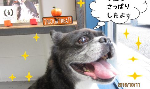 窓際笑顔ミックス