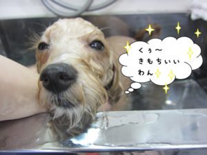 スパ中ミックス