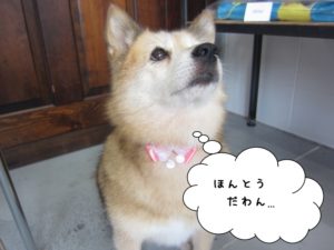 施術後ミックス