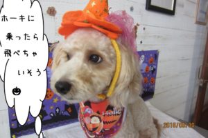 ハロウィンミックス