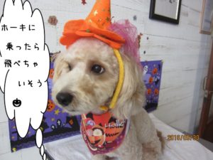 ハロウィンミックス