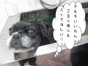 スパ中ミックス