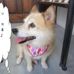 横顔笑顔ミックス