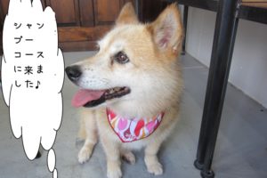 横顔笑顔ミックス