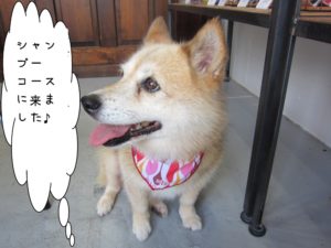 横顔笑顔ミックス