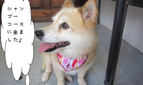 横顔笑顔ミックス