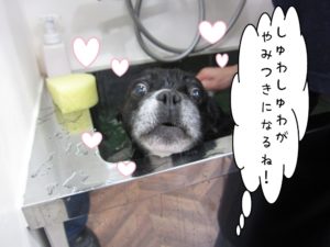 スパ中ミックス