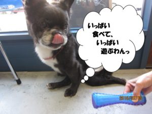 施術後ミックス